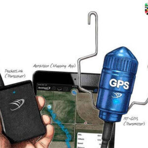 gps ติดตามนก marshall birdchannel